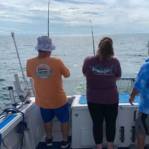 Meet your Posher, Anne